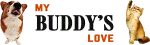 My Pet Buddy's Love